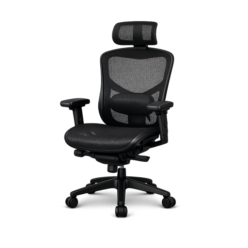 SIHOO Ergonomic Chair